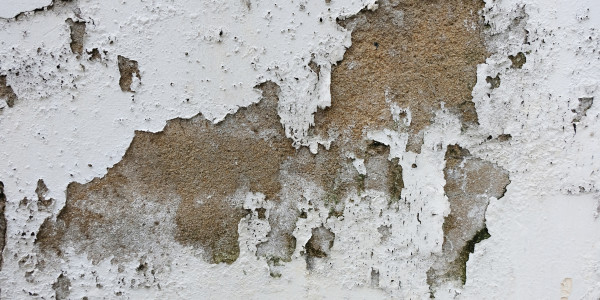 Pintar Fachadas de Empresas / Negocios / Locales Comerciales Sant Vicenç dels Horts · Pintura Antihumedad / Antimoho para Humedades / Moho