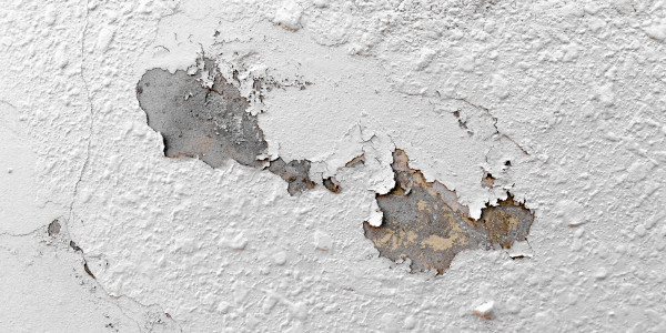 Pintar Fachadas de Naves Industriales, Fábricas y Almacenes Vallgorguina · Pintura Antihumedad / Antimoho para Humedades / Moho